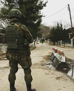 Бархатные Тяги