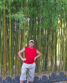 Женя Болтнев